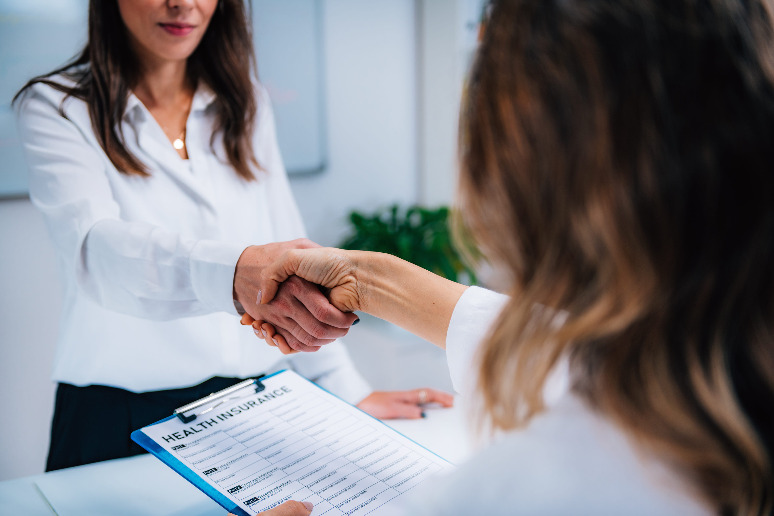 Two professionals shaking hands